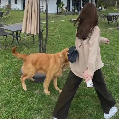 神勇小飞虎