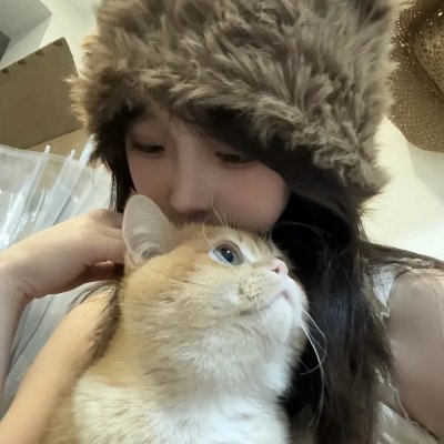 文豪野犬第一季
